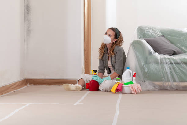 Reliable Mold Cleanup contractor in Southlake, TX by WQB Mold Removal